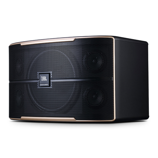 JBL Pasion 10 - Black - Passive 10” Full-Range Karaoke Loudspeaker - Detailshot 1