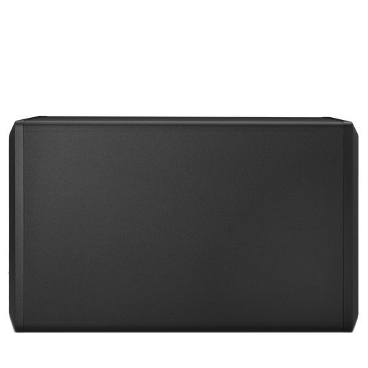 MS BASSPRO SQ - Black - 10 inch Powered Subwoofer (300 watts) - Back