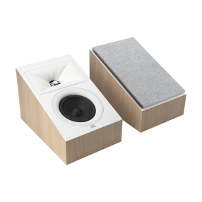 Speaker Surround