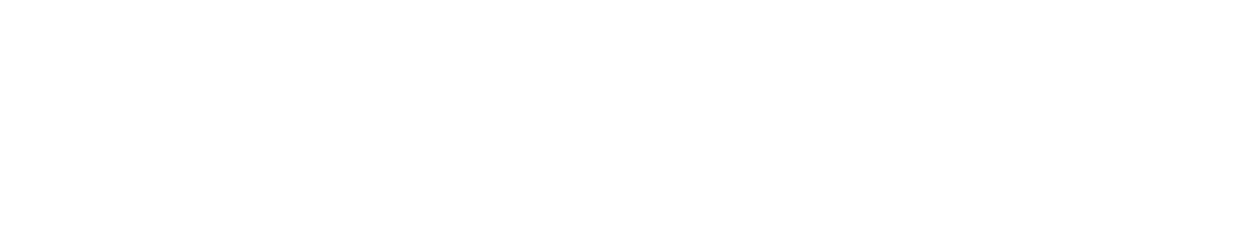 Quantum 400
