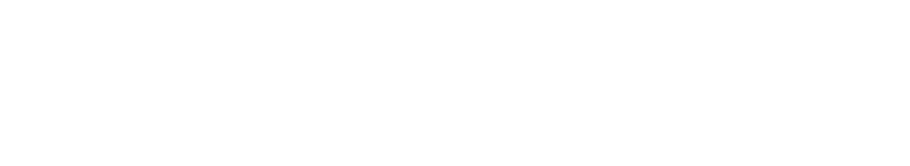 Quantum 100
