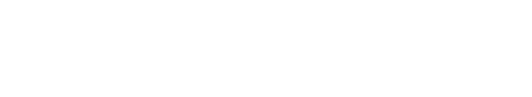 Quantum 300
